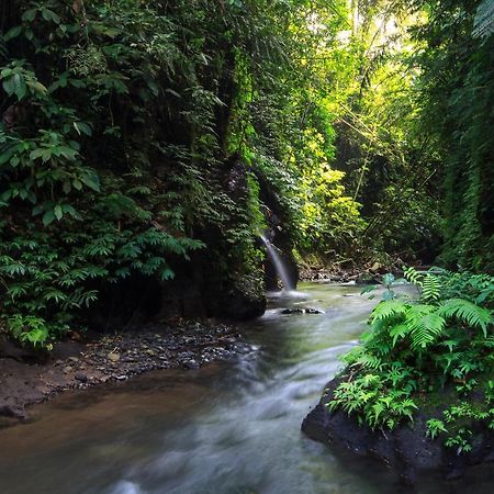 Bali Jungle Resort Tegallalang  Esterno foto