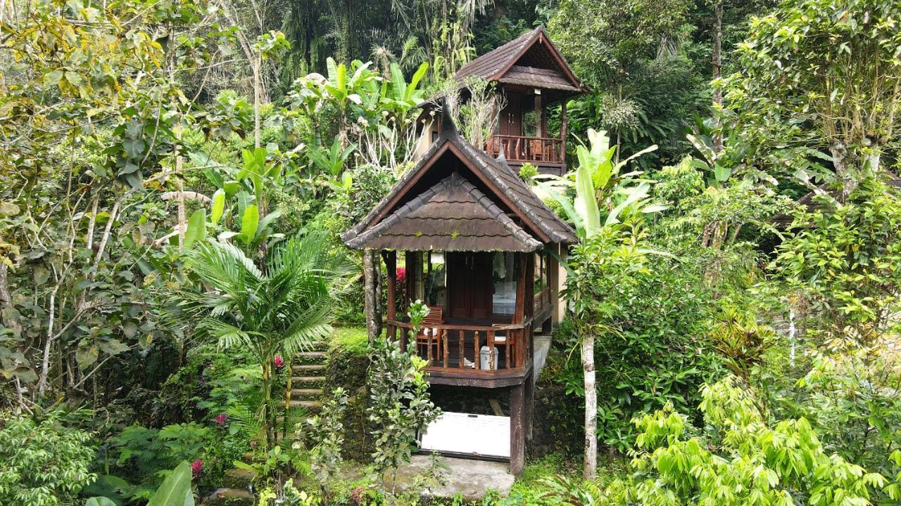 Bali Jungle Resort Tegallalang  Esterno foto