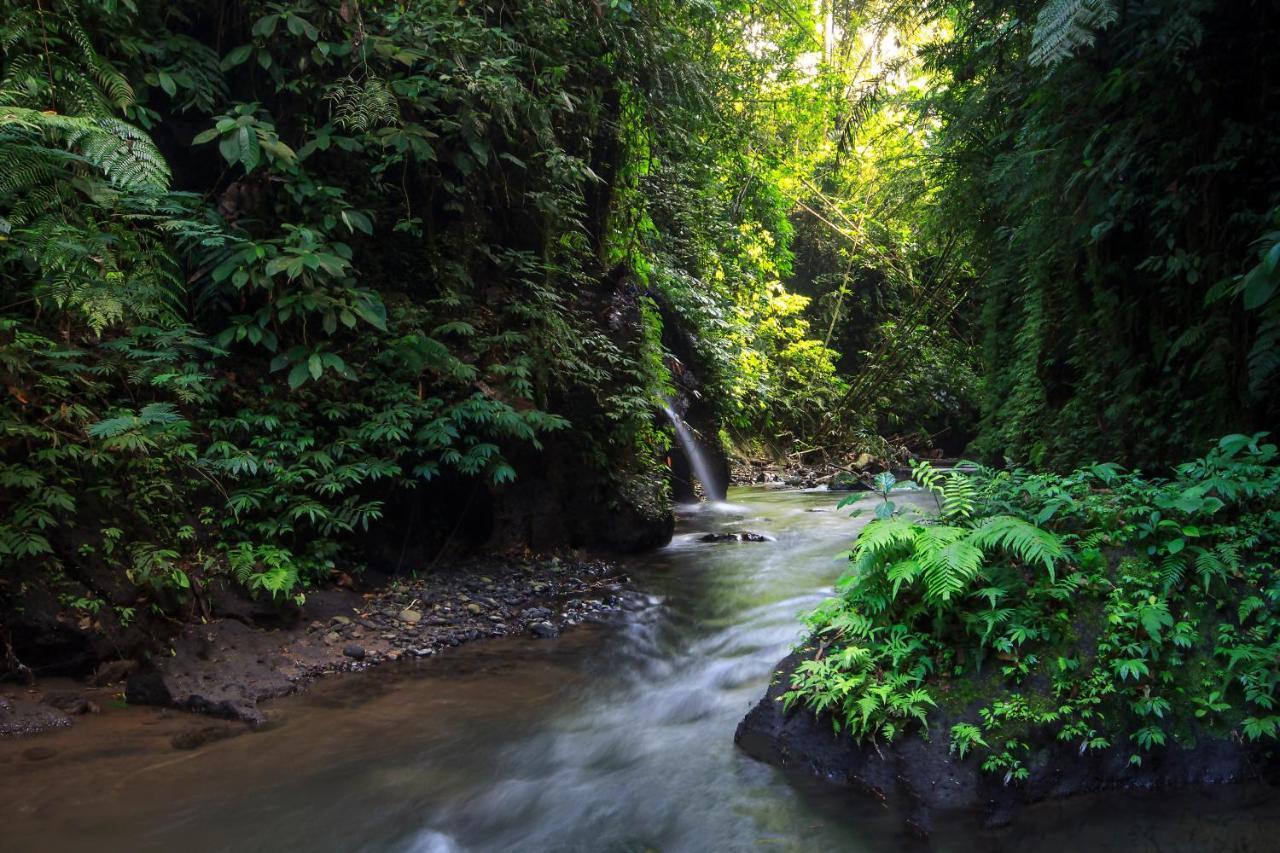 Bali Jungle Resort Tegallalang  Esterno foto